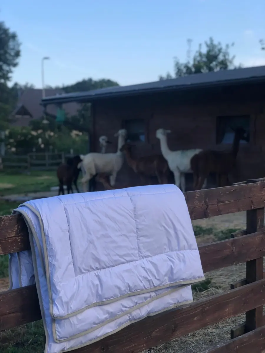 Kołdra z wełny alpak
