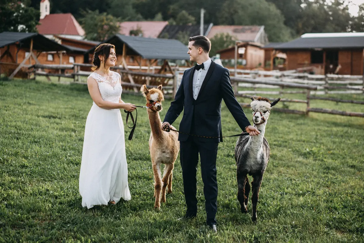 Galeria Fotografii Rancza i Podopiecznych